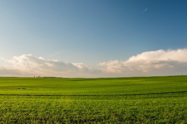 Land for alternative energy projects in Ukraine: inspection in details