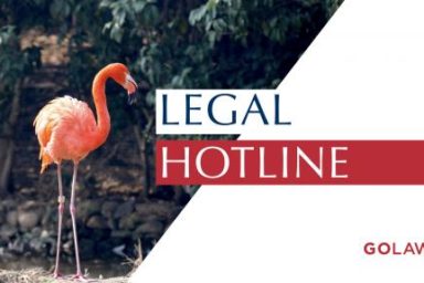 Legislative news digest: LEGAL HOTLINE 15.08.2018