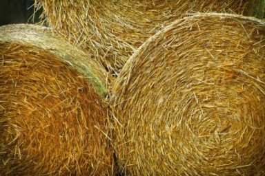 30 Answers about investment opportunities in Biomass-to-energy projects in Ukraine
