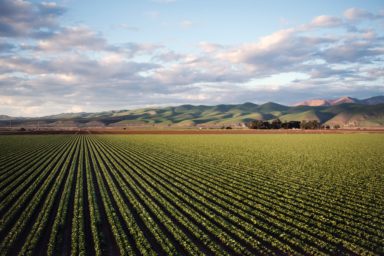 Determening the potential risks of transfer pricing for exporters in the agro-industrial complex (AIC)