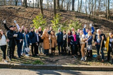 GOLAW law firm organized a tree planting in the Kyiv Botanical Garden