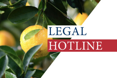Legislative news digest: LEGAL HOTLINE 04.06.2020