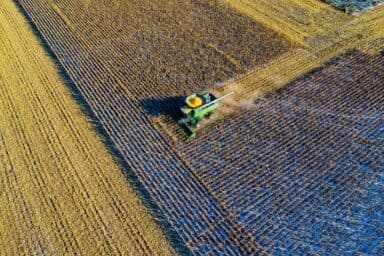 GOLAW helps register over three miillion UAH in tax invoices for agricultural company