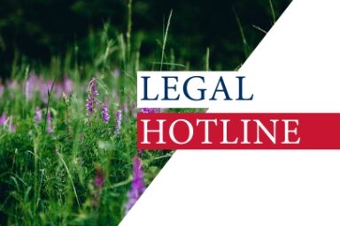 Дайджест законодавчих новин: LEGAL HOTLINE 30.07.2020