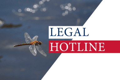 LEGAL HOTLINE 02.07.2020